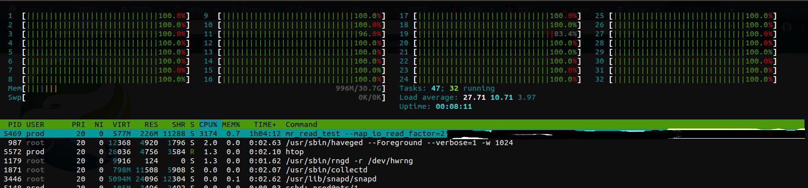 htop snapshot